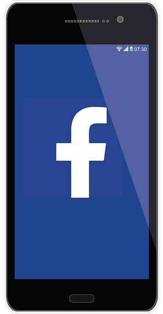 Facebook Global Takipçi