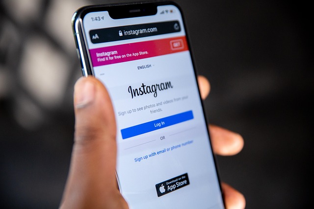 İnstagram Organik Takipçi